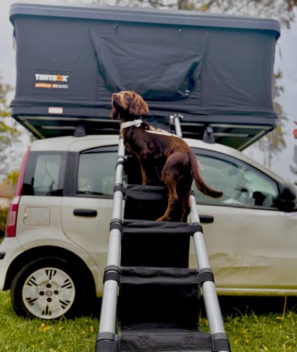 Universal dog ladder - dog, for